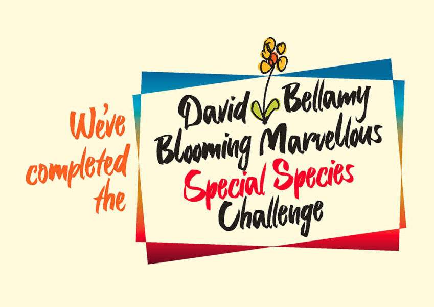 David-B-award-Special-Species-logo