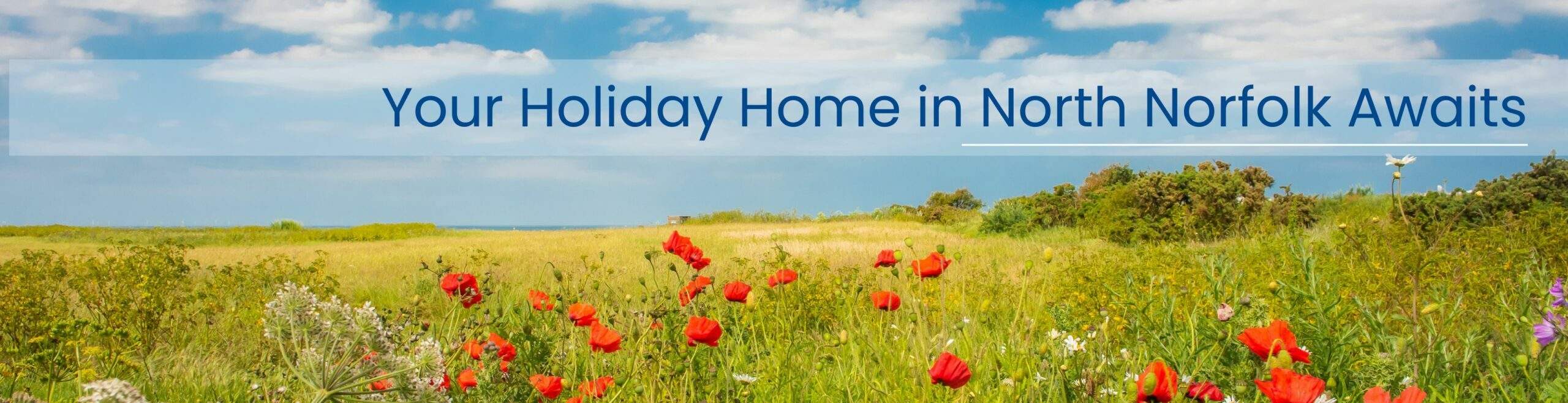 Holiday Home Sales (3)