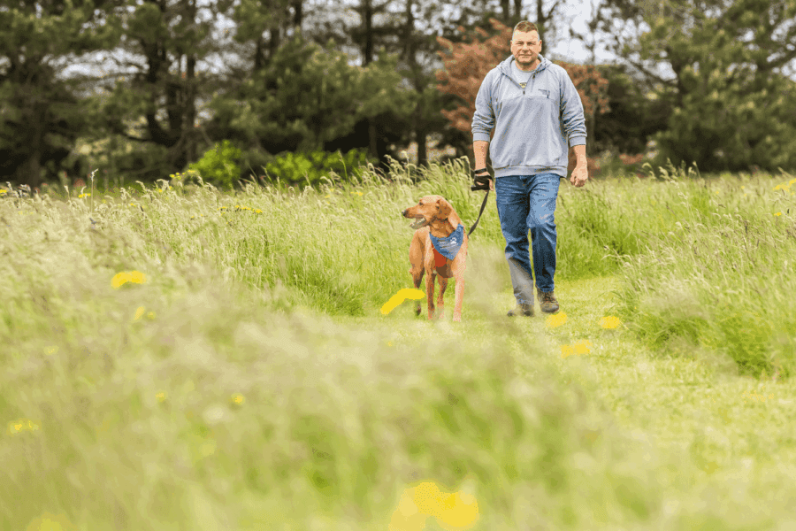 Dog Walking at Woodhill