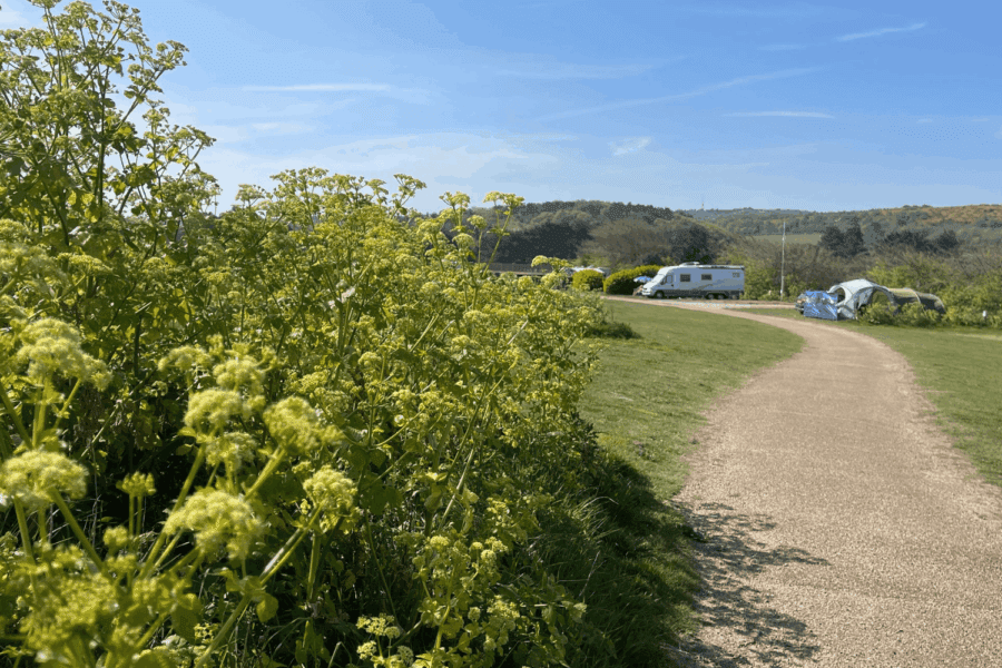 Tent Woodhill