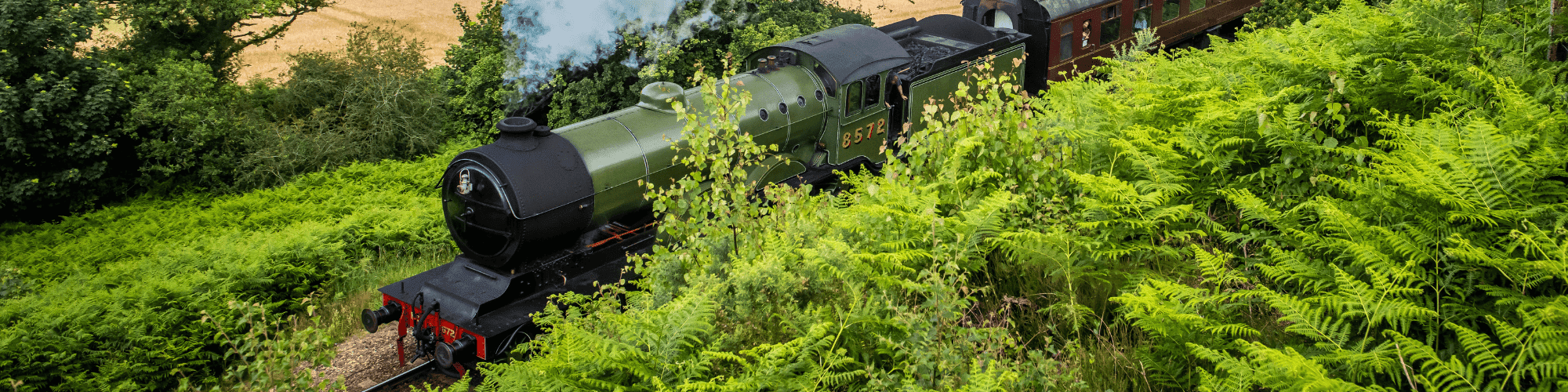 NNR Header